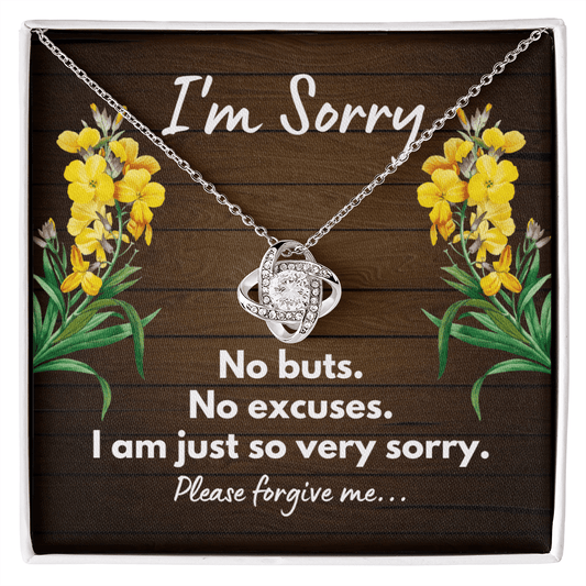 I'm Sorry Gift - Apology Necklace - Please Forgive Me - Forgiveness Gift - Wife Apology, Girlfriend Apology, Friend Apology 14K White Gold Finish / Standard Box