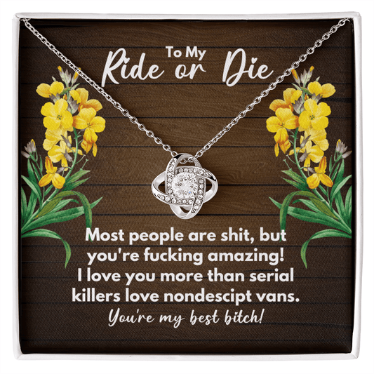 Unbiological Sister Gift - Ride or Die Birthday Gift - Best Friend Necklace - Bonus Sister Gift - Sister-In-Law Jewelry - BFF Bestie Gift 14K White Gold Finish / Standard Box